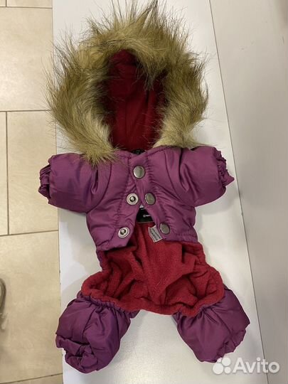 Одежда для собак