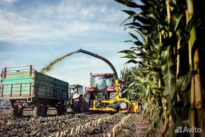 Комбайн Celikel Calabria, 2023