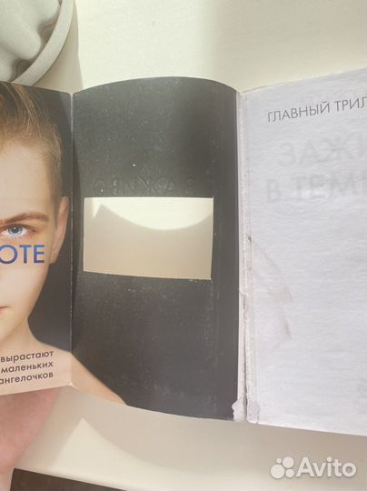 Книга Заживо в темноте Марк Омер