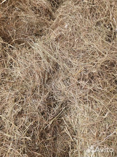 Сено в кипах