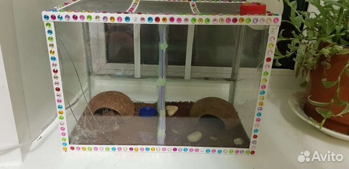 Домик,укрытие из кокоса