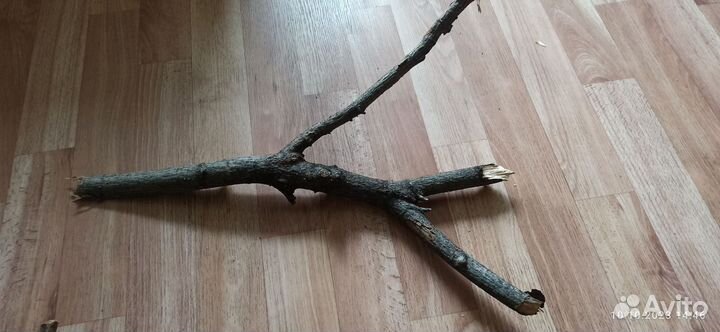 Коряга, коряга для декора аквариума и террариума