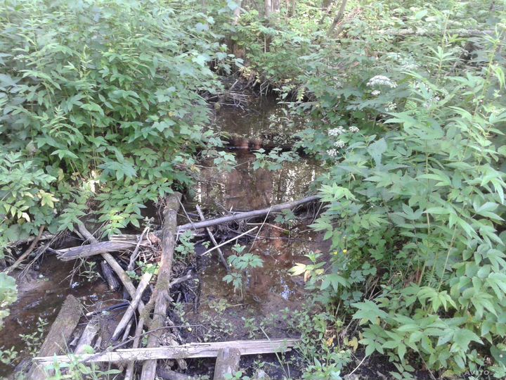Участок 3,18 га (СНТ, ДНП)