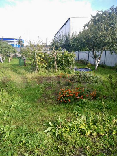 Участок 6 сот. (ИЖС)