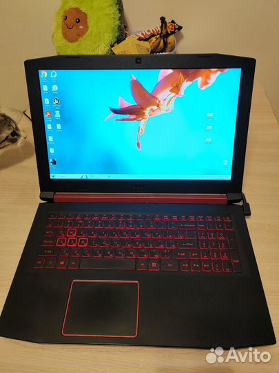 Acer nitro 5