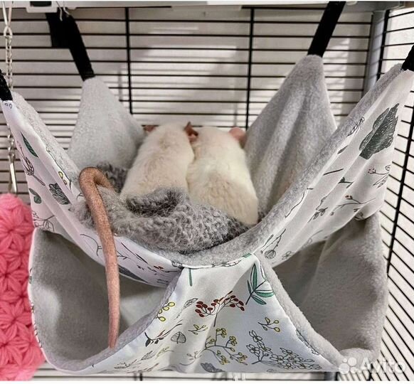 Гамаки домики для крыс хорька дегу свинок грызунов