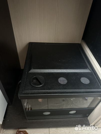 Террариум новый