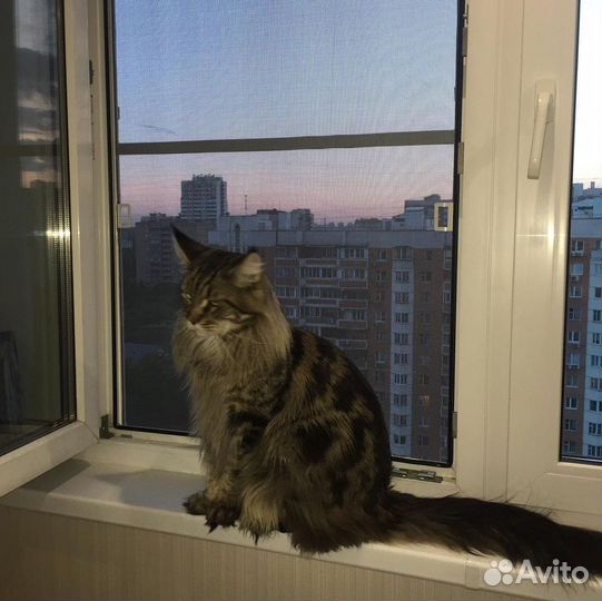 Москитные сетки