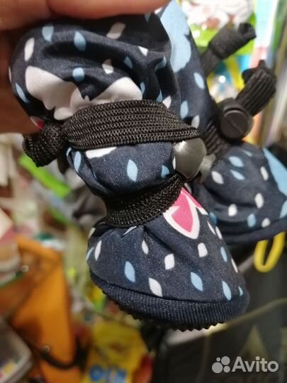 Одежда, обувь для собак