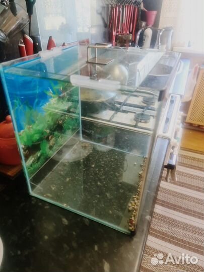 Аквариум