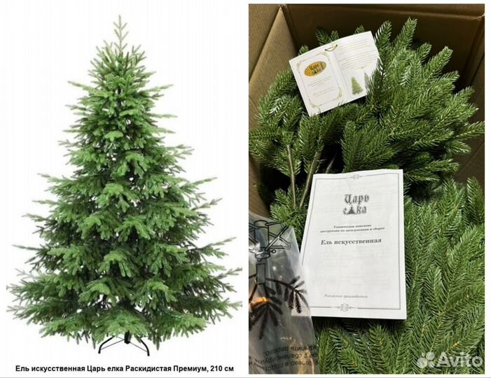 Царь елка раскидистая премиум 210