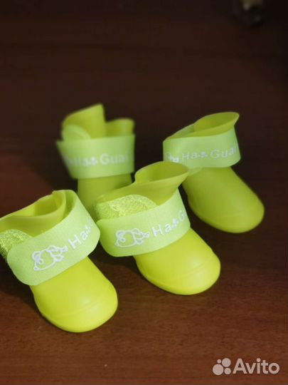 Одежда, обувь для собак