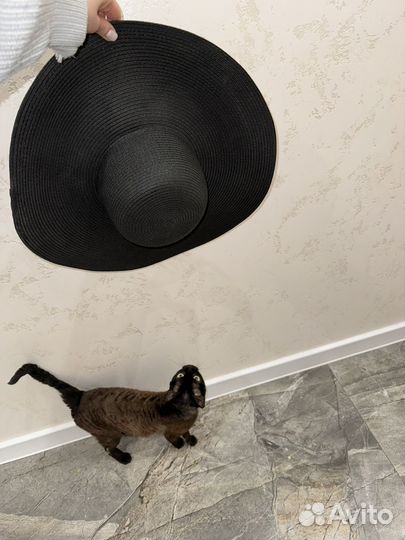 Шляпа с широкими полями Zara