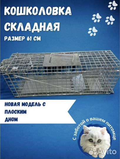 Котоловка