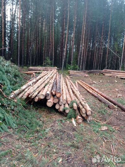 Работа в лесу на делянках