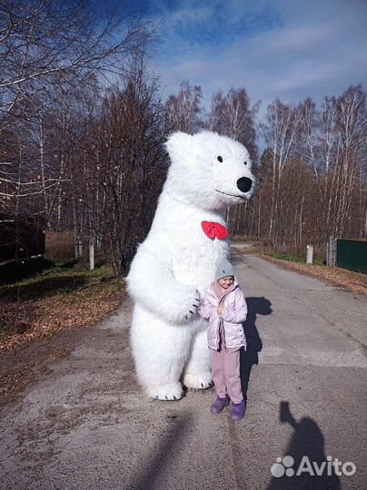 Белый мишка поздравление ростовой