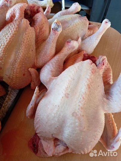 Домашнее мясо кур-бройлеров