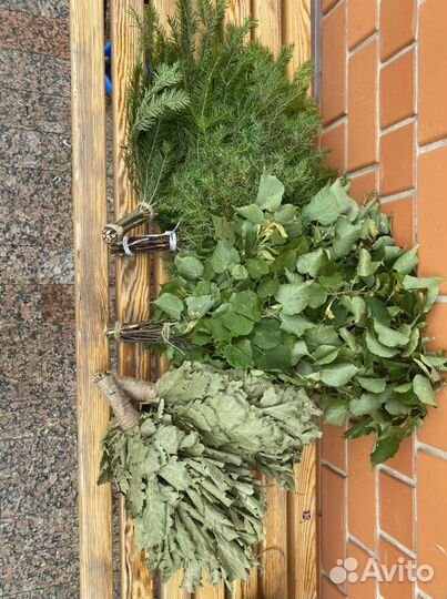 Веники для бани : пихта береза можжевельник дуб