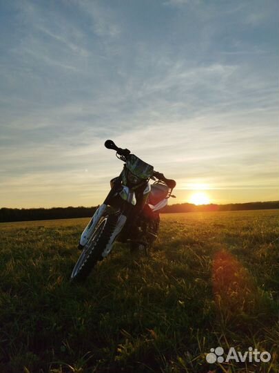 Racer Panther 300