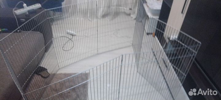 Загон для собак