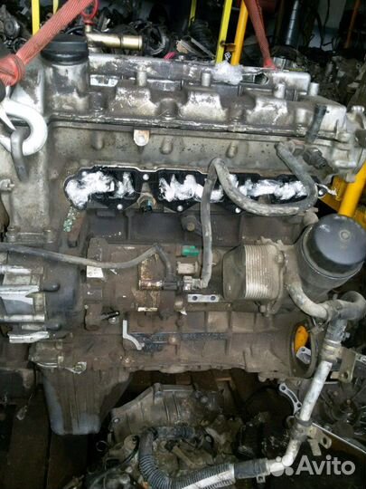 Двигатель D20DT SsangYong Kyron