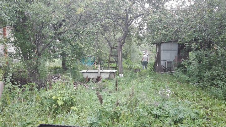 Участок 6 сот. (СНТ, ДНП)