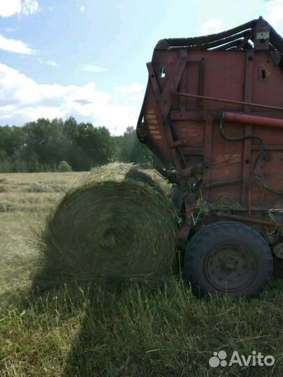 Продам Сено луговое с доставкой