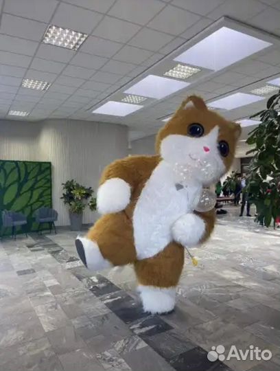 Поздравления огромного танцующего кота и гориллы