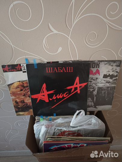 Пластинки винил Алиса