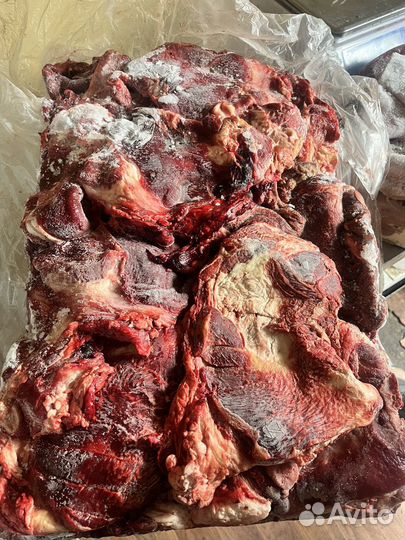 Головная обрезь Говядина