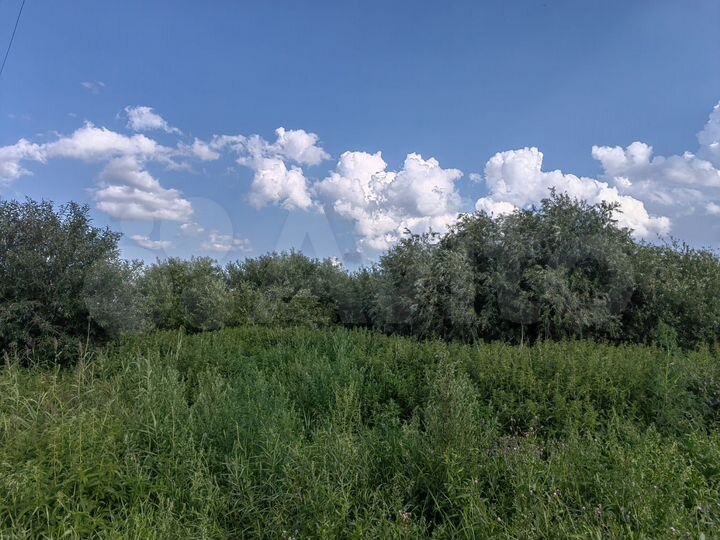 Участок 10 сот. (СНТ, ДНП)