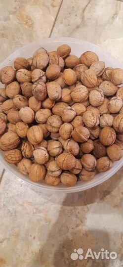 Грецкий орех в скорлупе