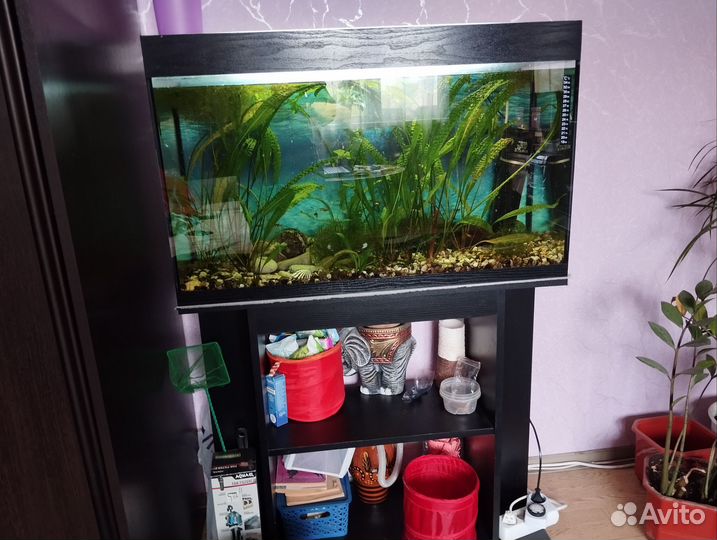 Аквариум 100 литров
