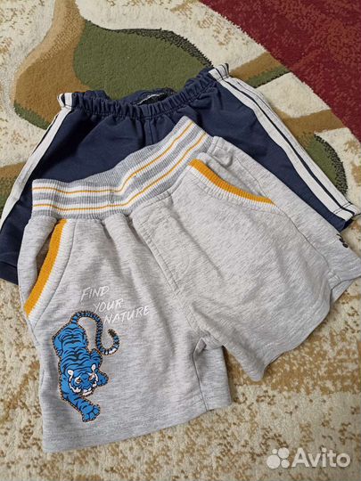 Рубашка и шорты