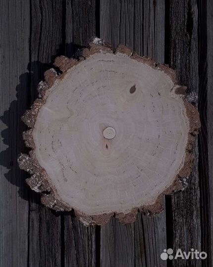 Торцевой Спил (Срез) березы -два среза