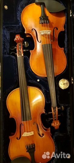 Скрипка3/4
