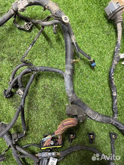 Проводка двс Chevrolet Aveo T250 B12S1 2008