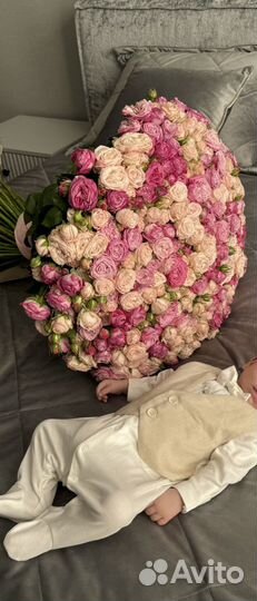 Choupette боди