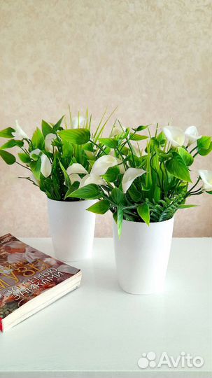 Каллы белые