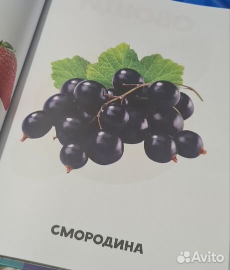 Детские книги 0