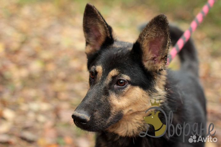 Прекрасная Фиджи