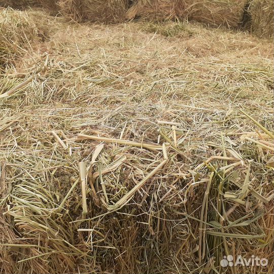 Тюки Солома Горох Ячмень Пшеница Рулоны