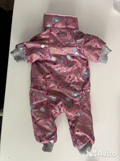 Костюм для пуделя