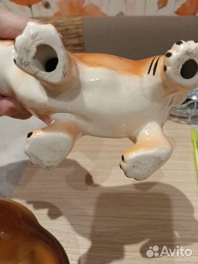 Милые животные