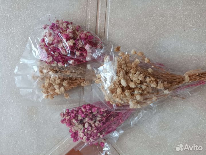 Веточки сухоцветов