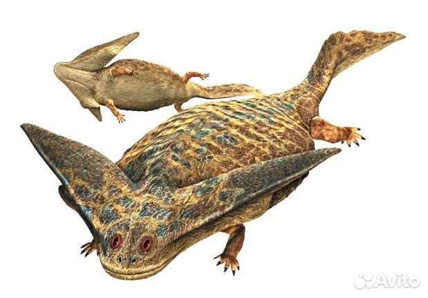 Монета Диплокаулус Эволюция жизни Монголия 2020г