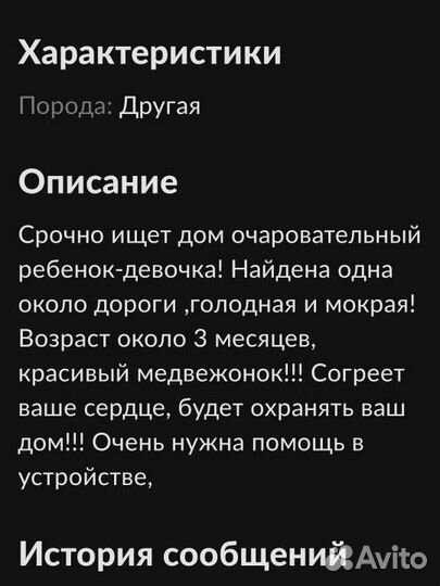 Щенок девочка