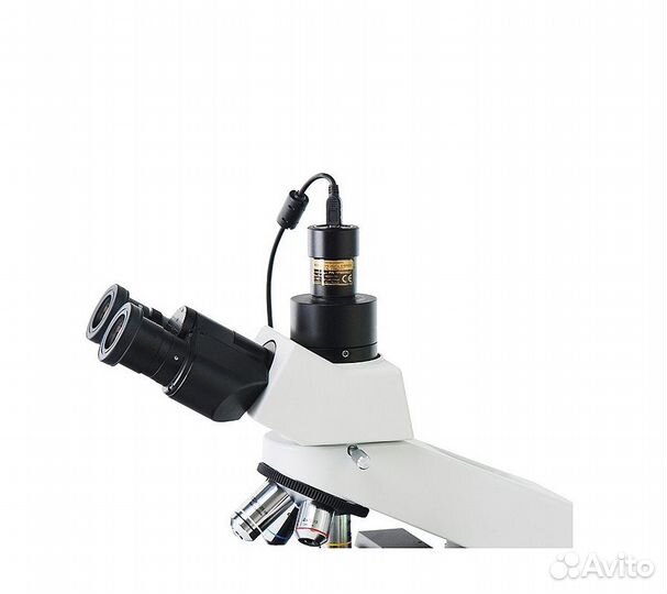 Видеоокуляр ToupCam scmos03100KPA