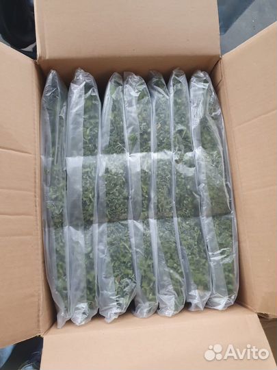 Петрушка резаная