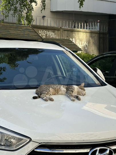 Дом 80 м² на участке 20 сот.